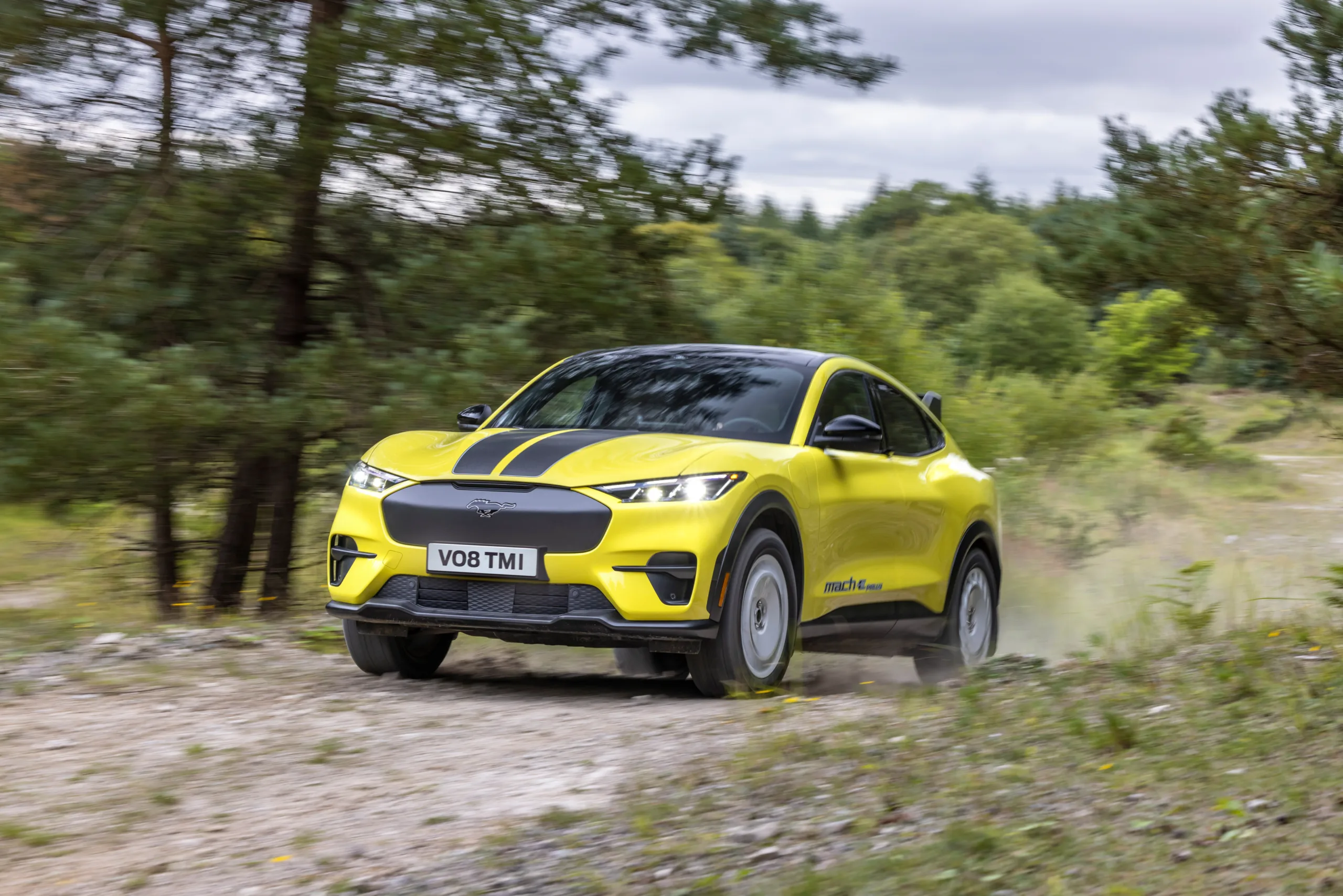 Ford Mustang Mach-E Rally: un cocktail único