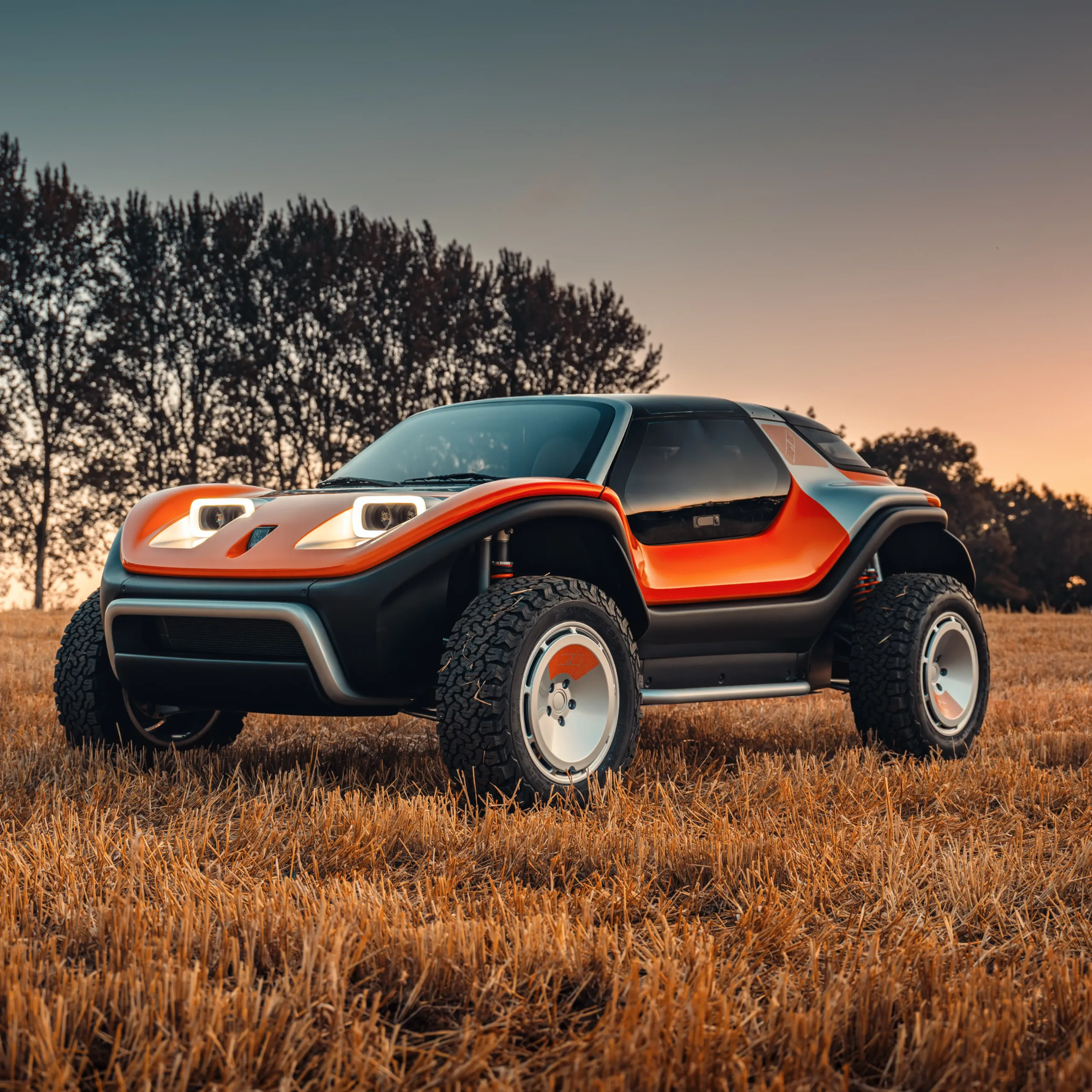 MEYERS MANX LFX