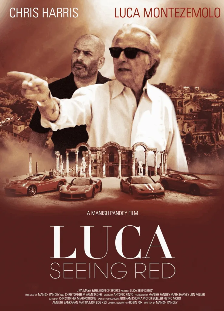 Cartel de "Luca, seeing red"