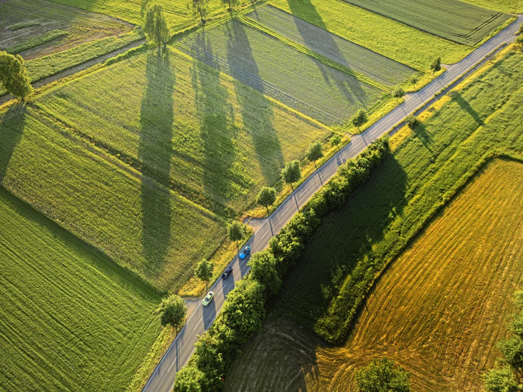 Porsche, Lotus y BMW