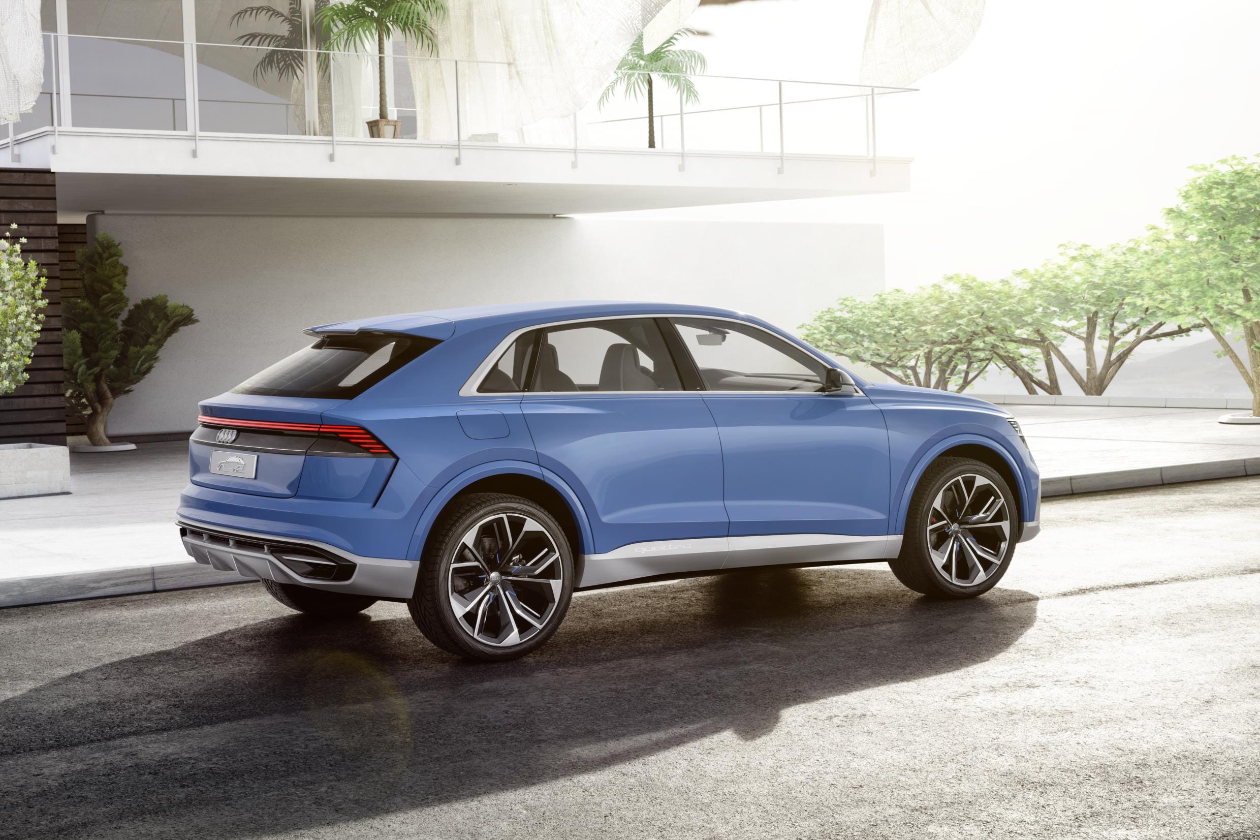 Audi Sport planea llevar un Audi RS Q8 concept a Ginebra