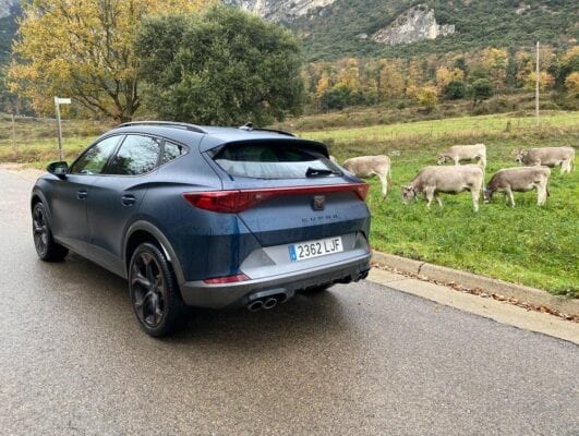 Cupra Formentor VZ trasera