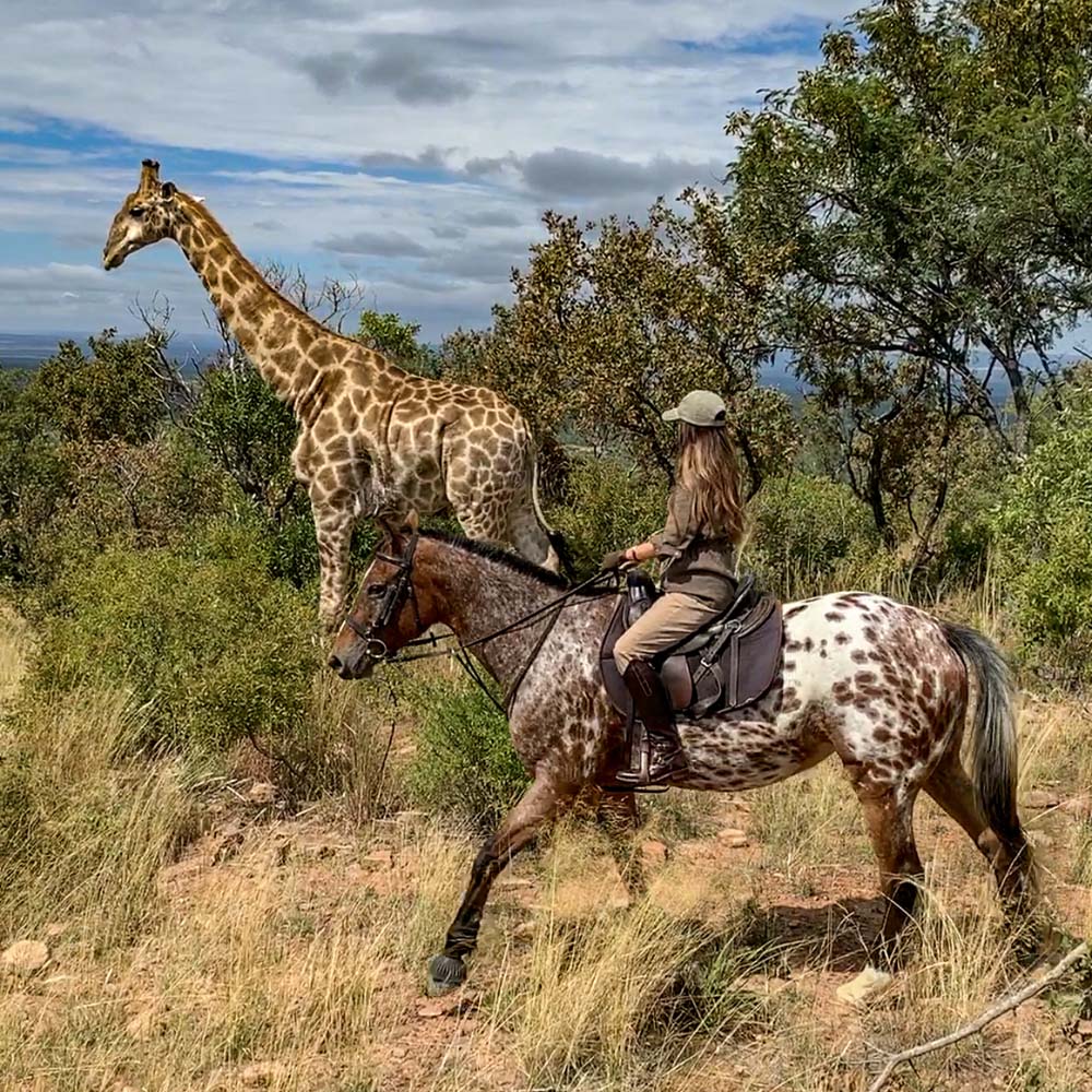 Mundo a Caballo