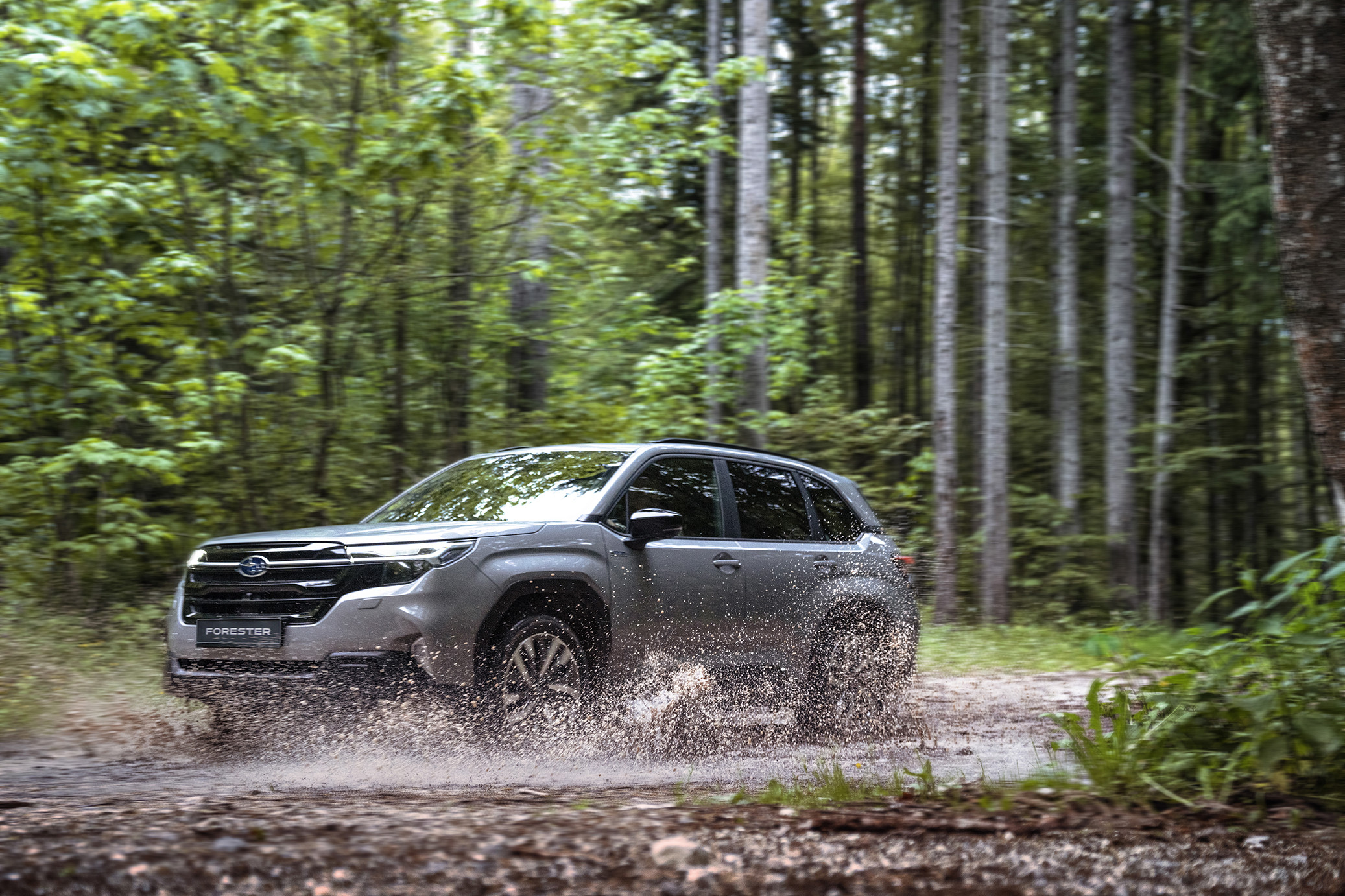 Nuevo Subaru Forester en su habitad natural 