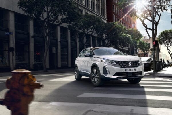 Peugeot 3008 2021 morro