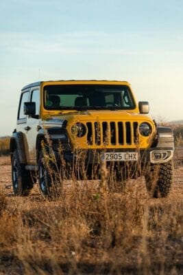 Jeep Wrangler Rubicon morro