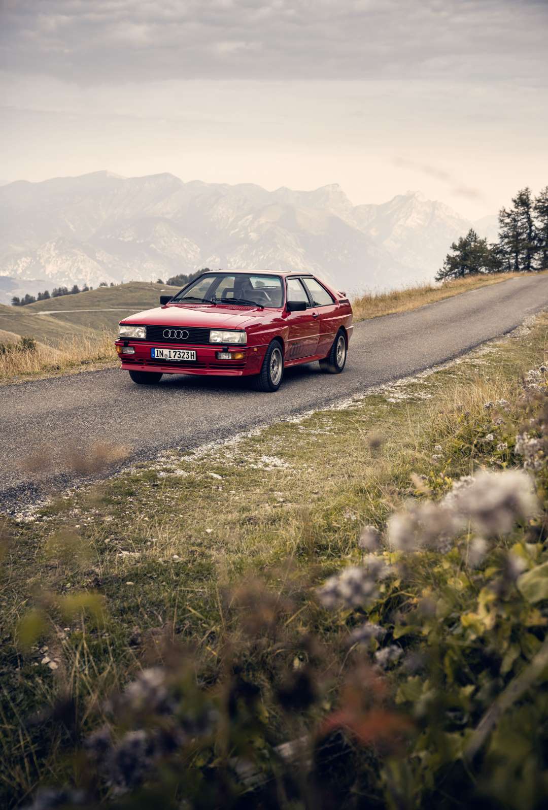 Quattro