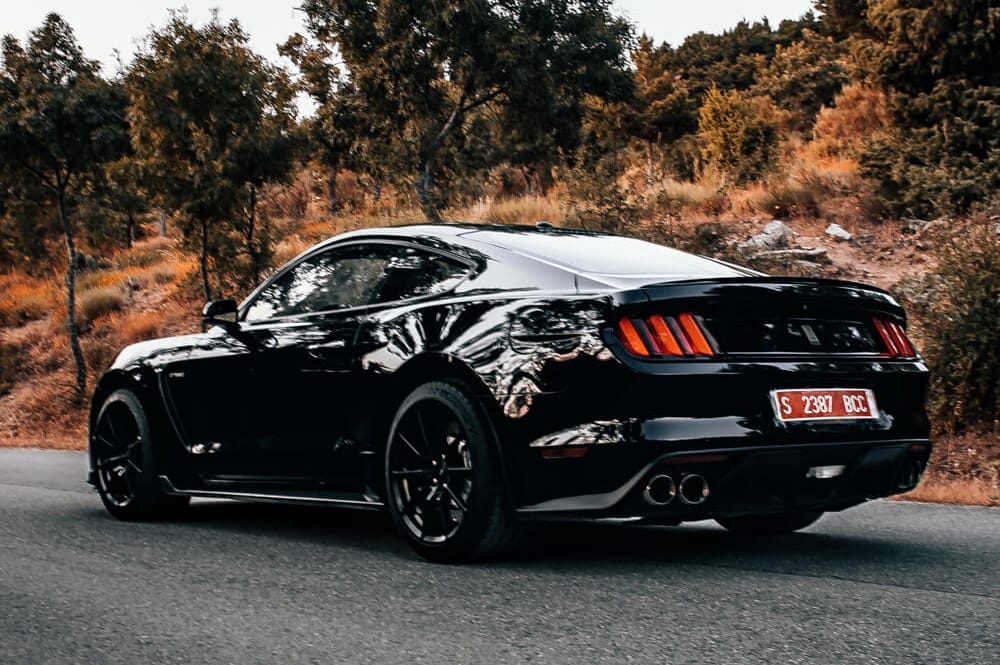 Shelby