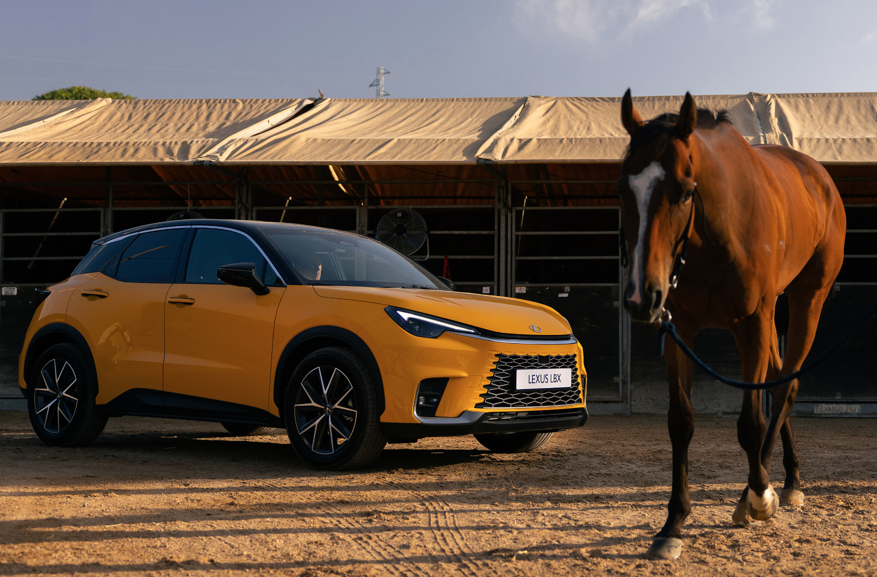 Lexus conquista la playa de Cádiz, un día en las carreras de caballos