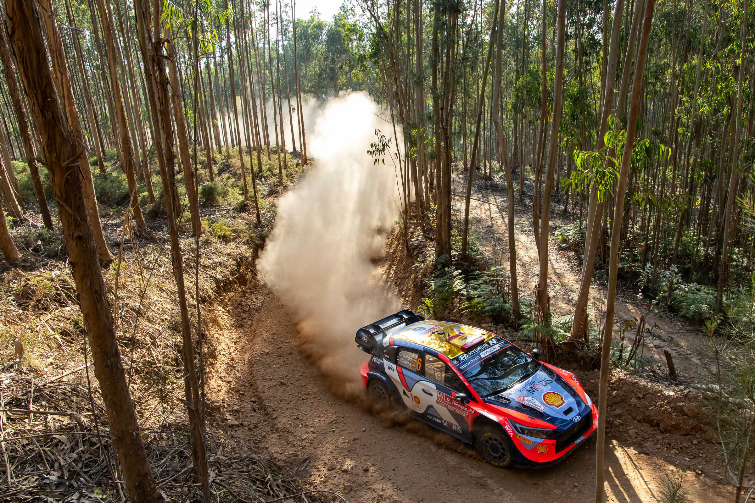 Hyundai i20 N Rally1 Hybrid en los bosques de Italia Cerdeña